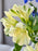 Ethereal Blue & Ivory Money Gift
