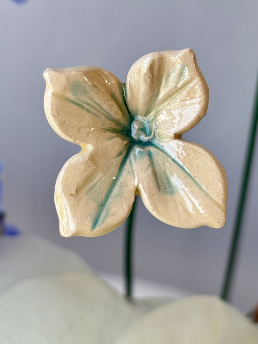 Ethereal Blue & Ivory Money Gift