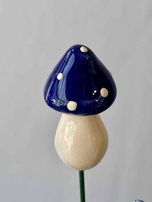 Ethereal Blue & Ivory Money Gift