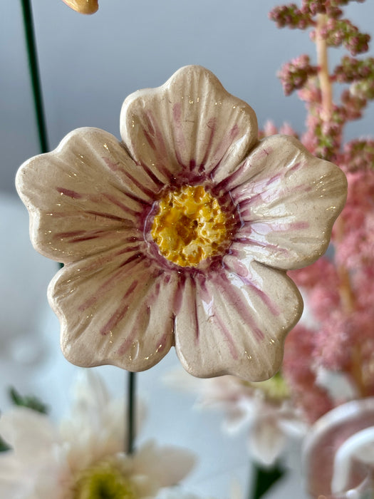 Blush Garden Elegance Bloom