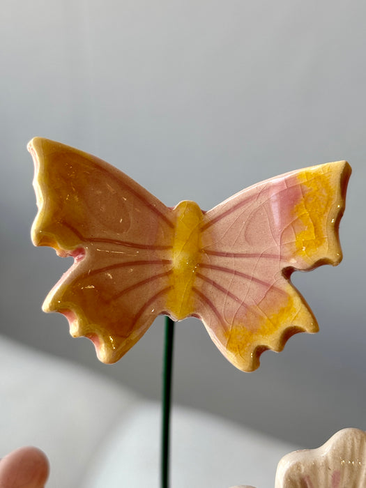 Blush Garden Elegance Bloom