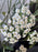 Buttercup Garden Bouquet