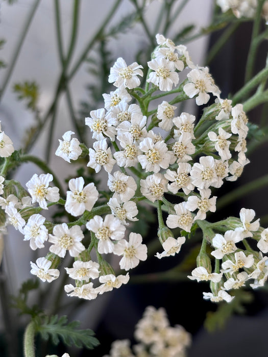 Buttercup Garden Bouquet