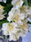 Buttercup Garden Bouquet