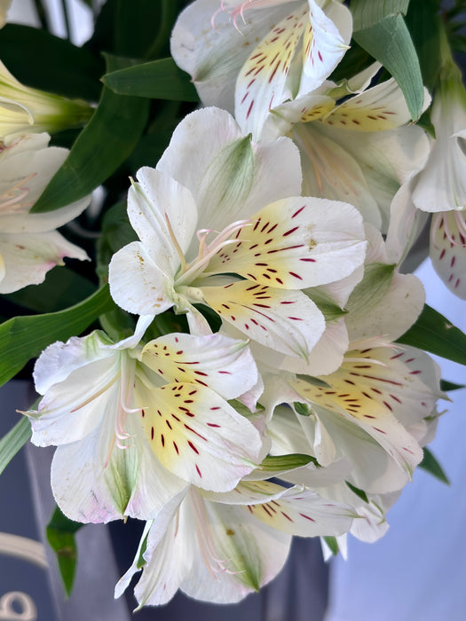 Buttercup Garden Bouquet