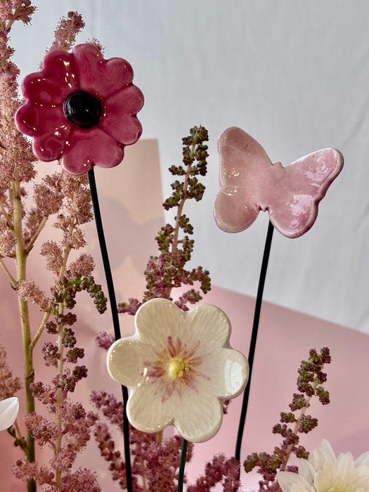Soft Blush Flower Blooms