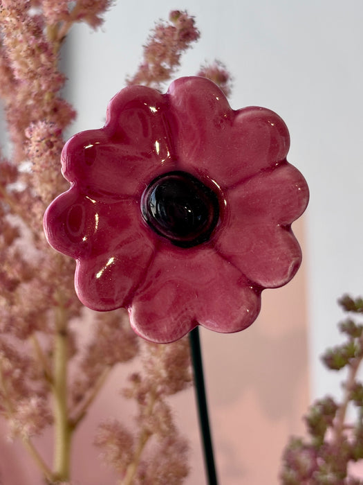 Soft Blush Flower Blooms