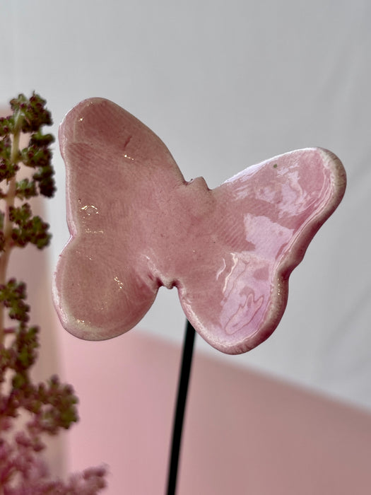 Soft Blush Flower Blooms