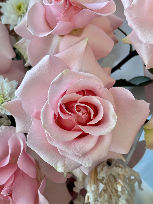 Soft Blush Flower Blooms