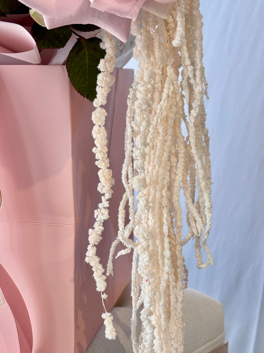 Soft Blush Flower Blooms
