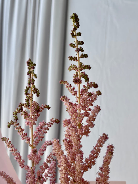 Soft Blush Flower Blooms