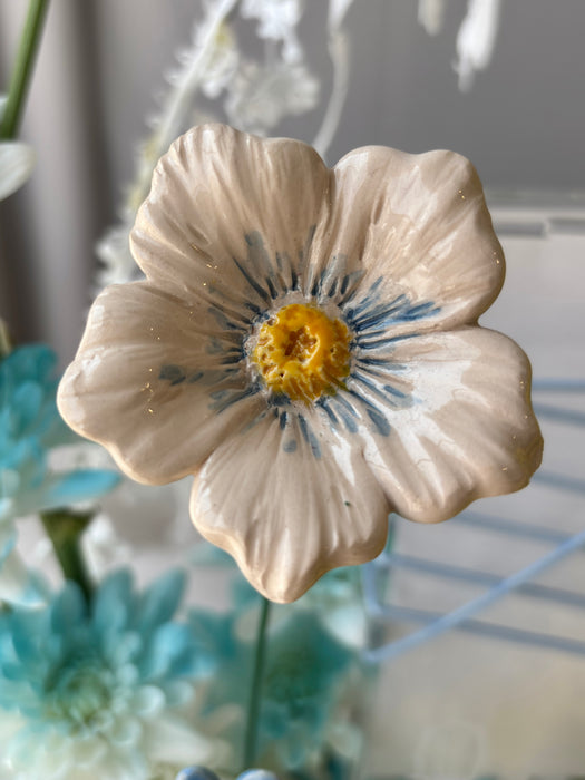 Blue Sunny Money Garden