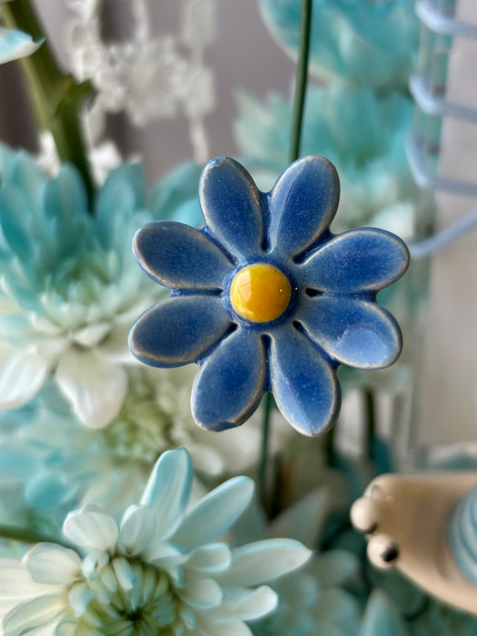 Blue Sunny Money Garden