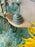Blue Sunny Money Garden