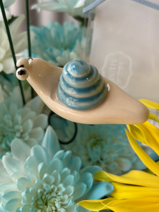 Blue Sunny Money Garden