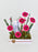 Dark Pink Money Garden