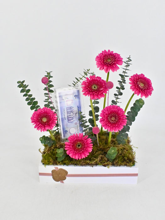 Dark Pink Money Garden