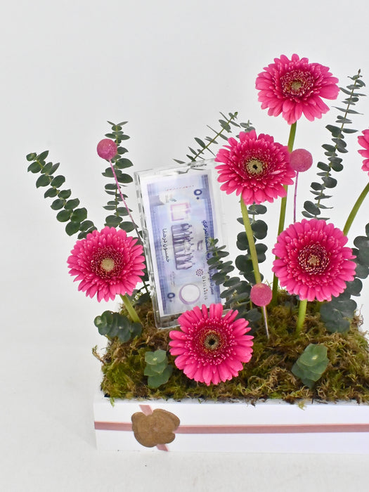 Dark Pink Money Garden