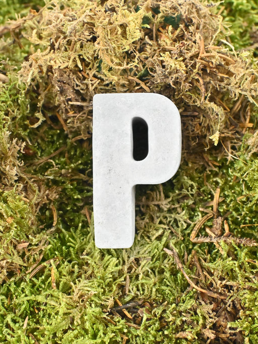 Letter P