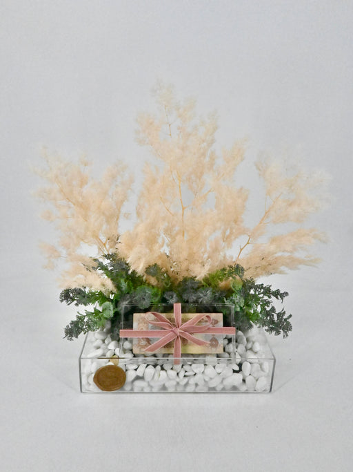 Preserved Asparagus