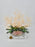 Preserved Asparagus