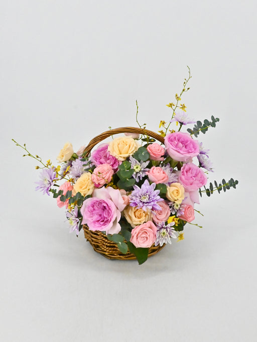 Pretty Pastel