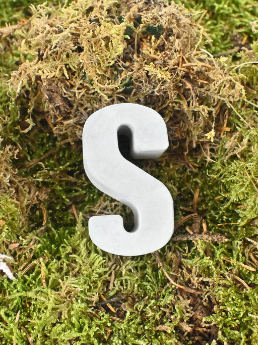 Letter S