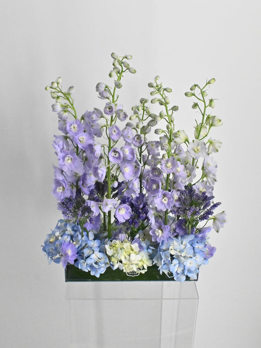 EID Blossom Serenity