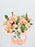 Peach and Blush Garden Bloom