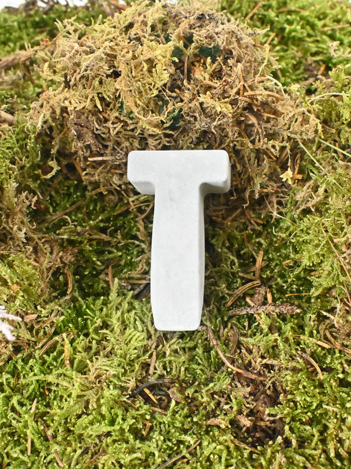 Letter T