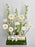 White Gift Arrangement