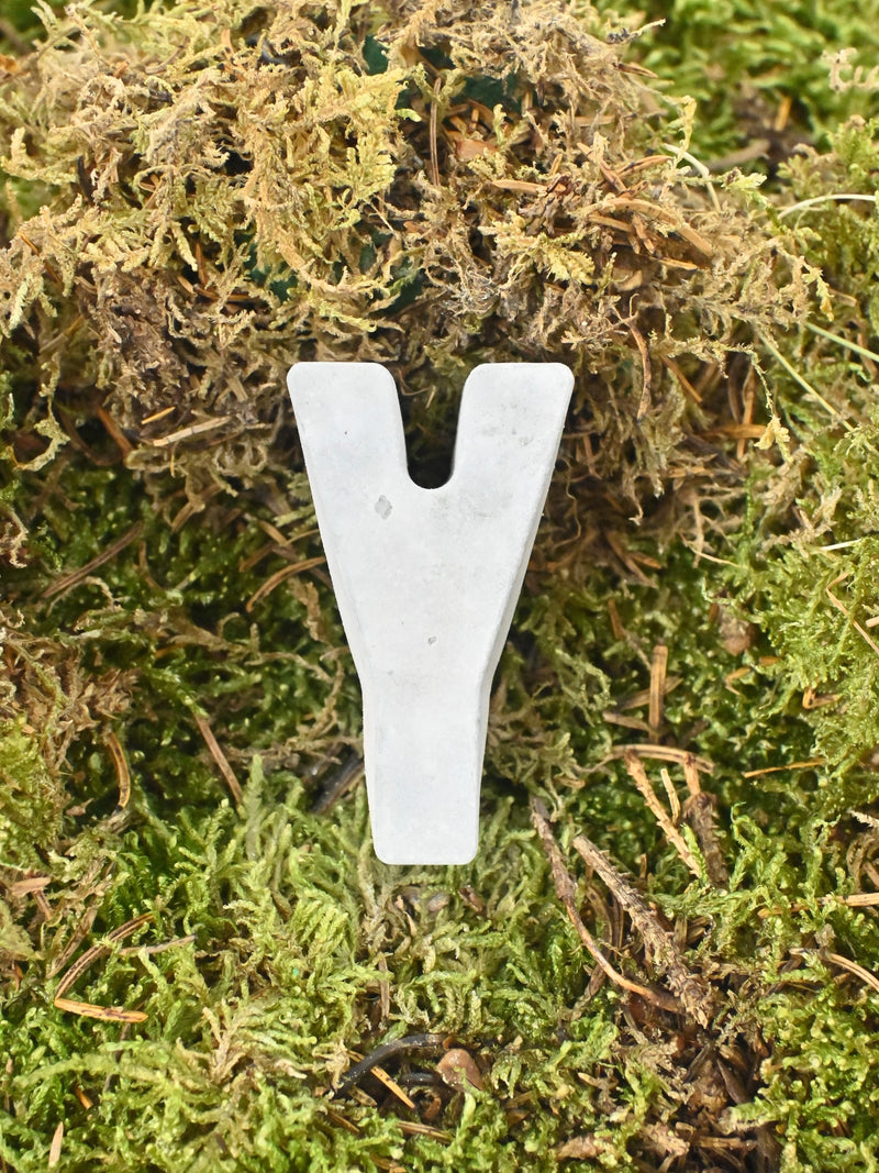 Letter Y