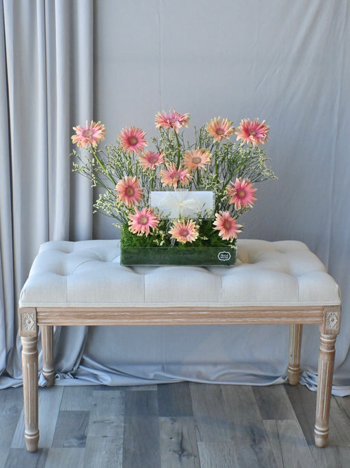 Rosatta Premium Bloom