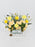 Sunny Money Arrangement