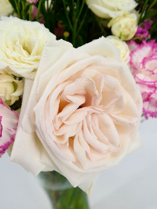 Scented Garden