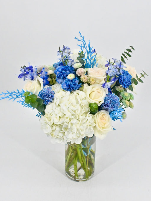 Ohara Bloom