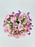 Mine Garden