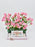 Odilia Money Arrangement