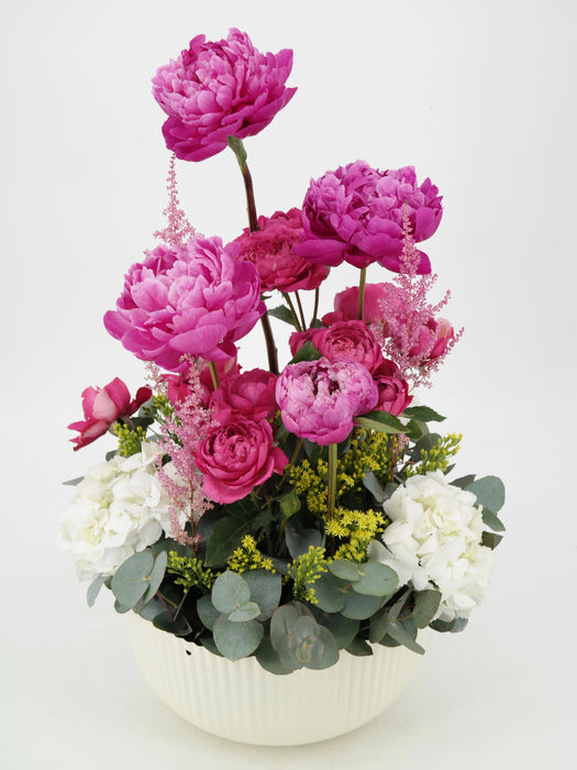 Cerise Fountain