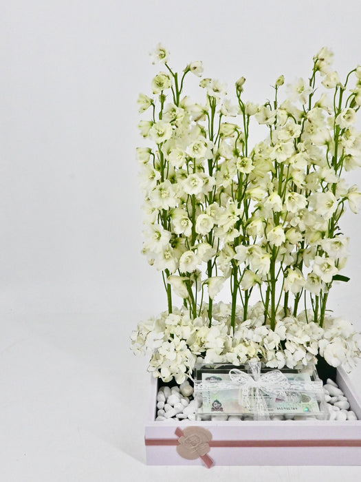 Delphy White Money Arrangement