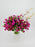 Snowberry Mist