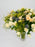 Tanacetum