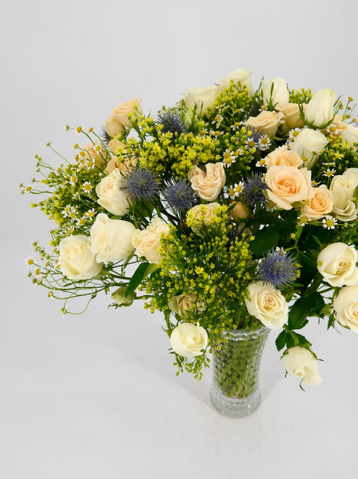 Tanacetum