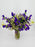 Campanula Garden