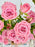 Odilia Money Arrangement