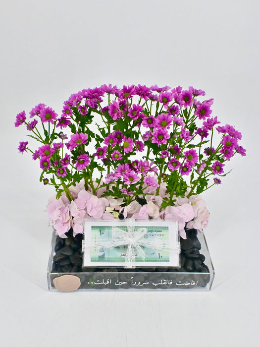 Krissy Money Arrangement