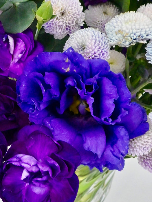 Magical Purple