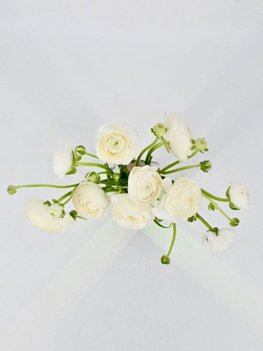 White Elegance