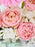 Julietta Money Arrangement