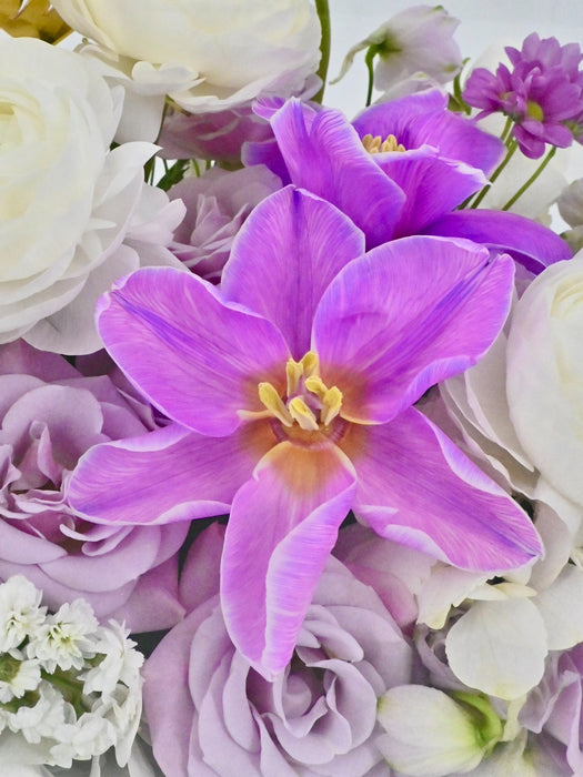 Ramadan Arrangement